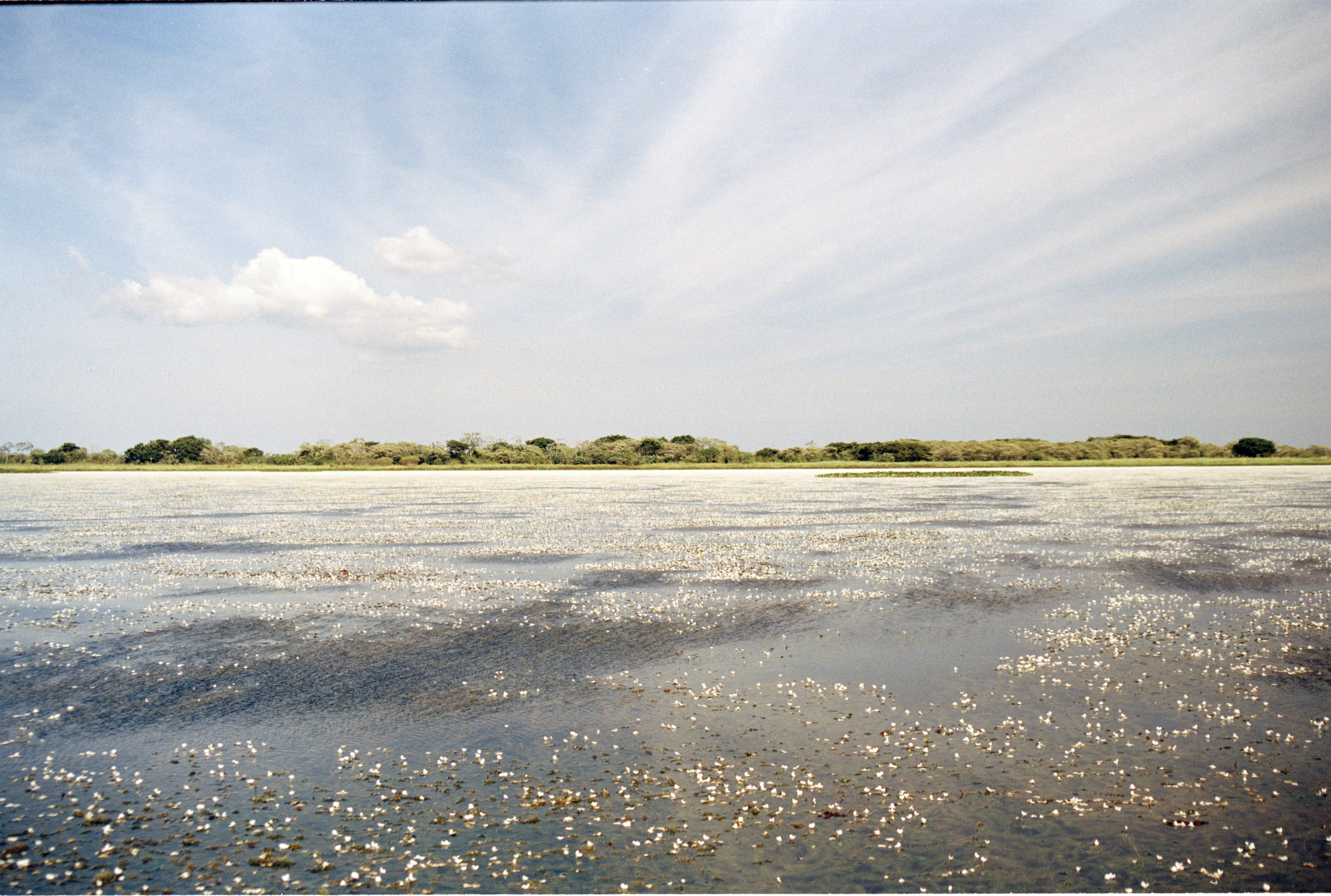 Águas e Vidas Project Photo 2