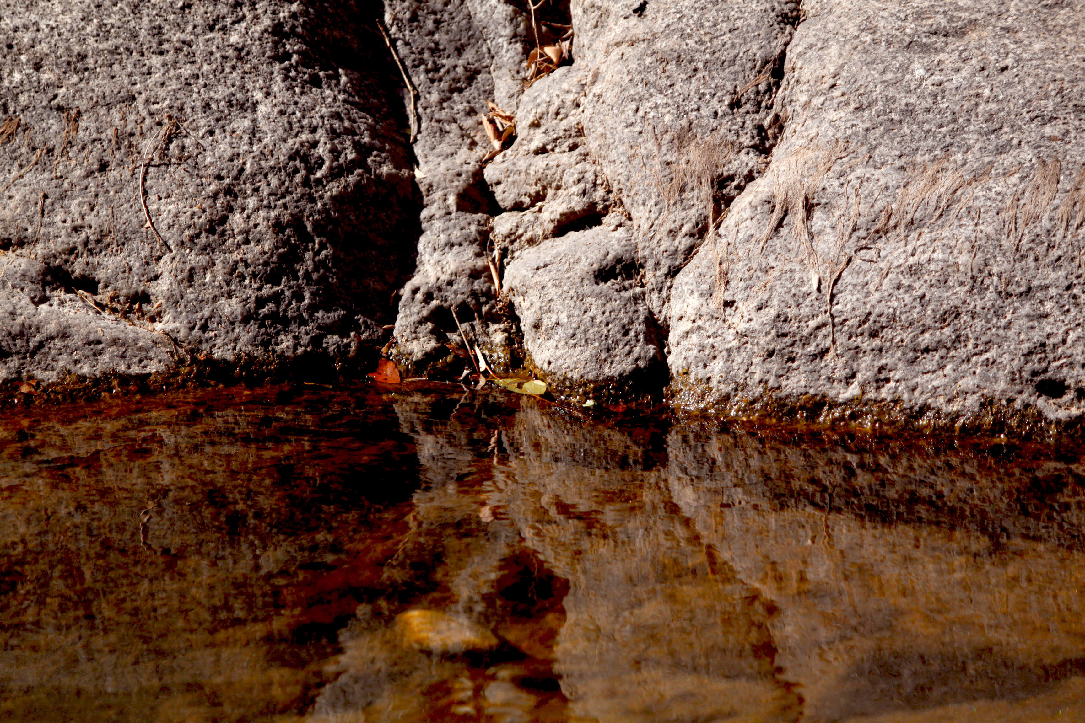 Águas e Vidas Project Photo 3